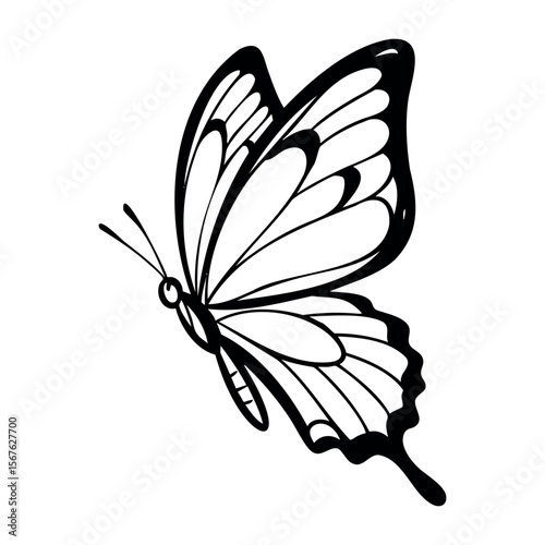 Elegant butterfly design with intricate wing patterns. Vector hand-drawn doodle illustration