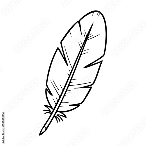 Monochrome feather illustration with detailed line art. Vector hand-drawn doodle illustration