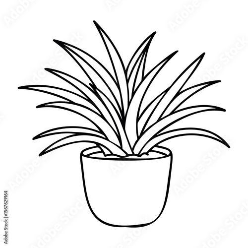 Simple line drawing of potted plant with long leaves. Vector hand-drawn doodle illustration