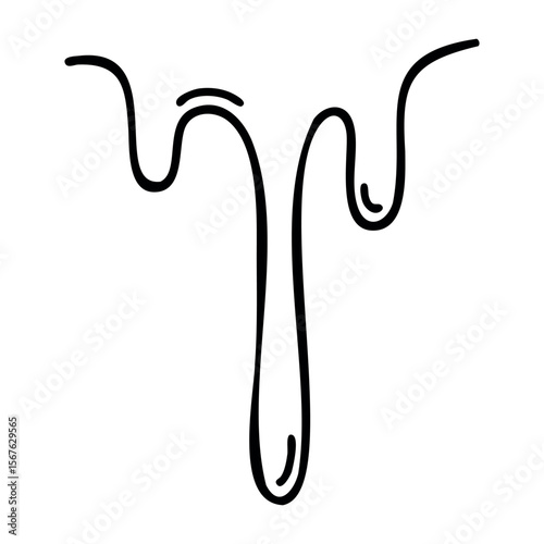 Medical illustration of human uterus anatomy. Vector hand-drawn doodle illustration