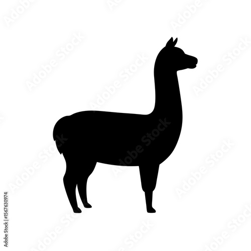 Adorable Black Alpaca Farm Animal Silhouette on a Clear White Background Image