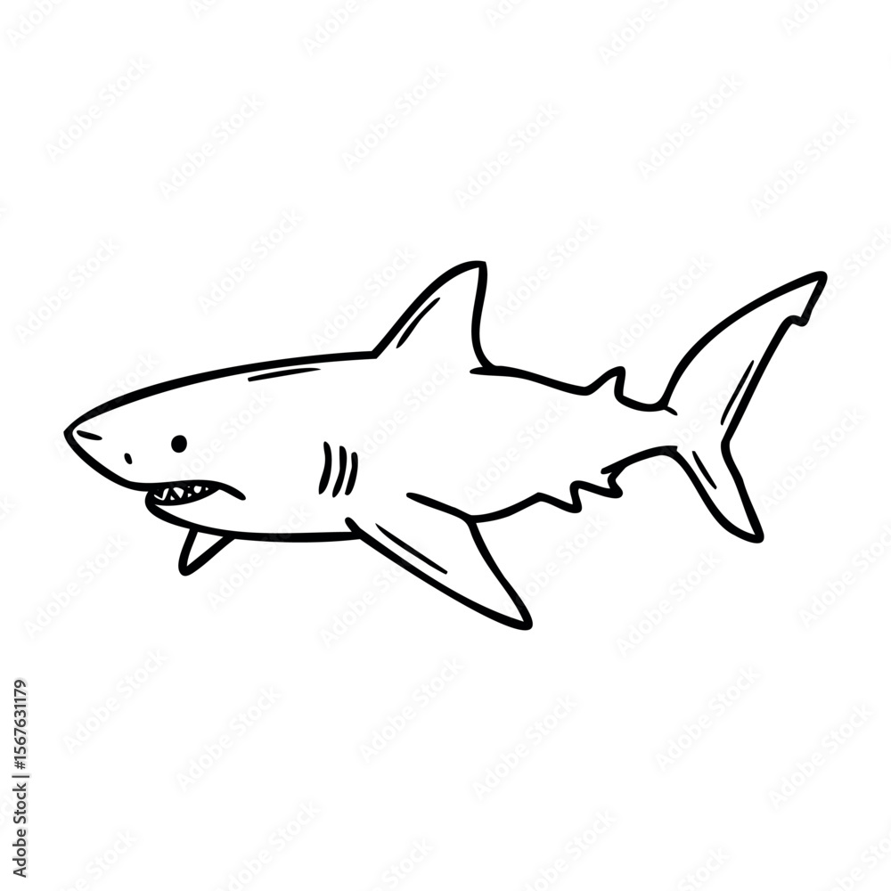 Obraz premium Hand-drawn great white shark illustration featuring detailed fins and teeth. Vector hand-drawn doodle illustration