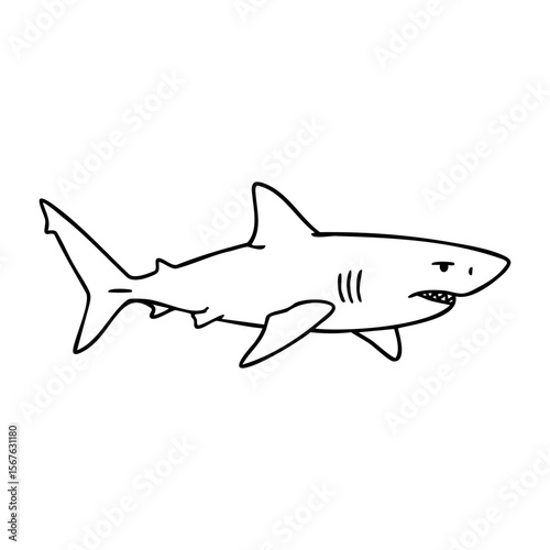 Outline illustration of a shark swimming in profile view. Vector hand-drawn doodle illustration
