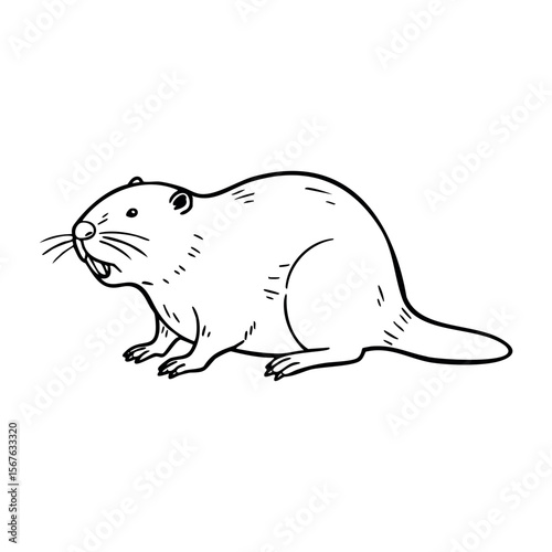 Hand-drawn illustration of a beaver in profile view. Vector hand-drawn doodle illustration