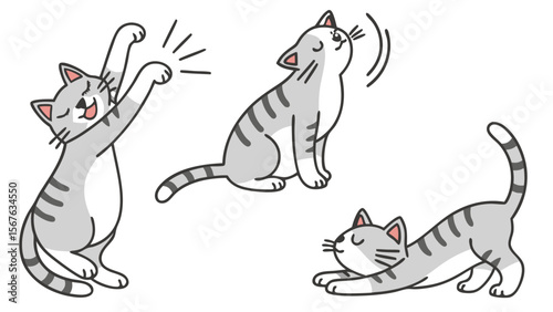 Playful Grey Tabby Cats in Various Poses: Stretching, Sitting, and Lying Down