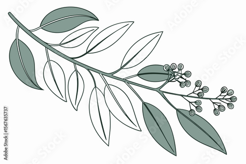 Stylish eucalyptus branch illustration with minimalist design elements