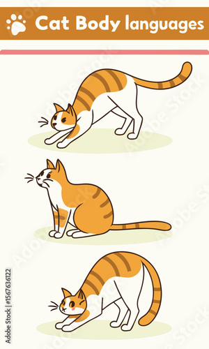 Cute Cartoon Cat Body Language Illustrations in Different Poses