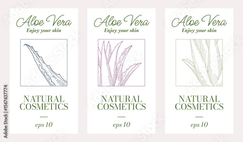Design template set of Aloe vera tags. Natural cosmetics ingredient labels. Hand drawn ink sketch herbal icons. Ecology concept in beauty industry. Enjoy your skin.