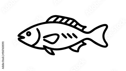 fish vector illustration