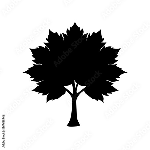 Black Silhouette Of A Sycamore Tree With Broad Leaves For A Park