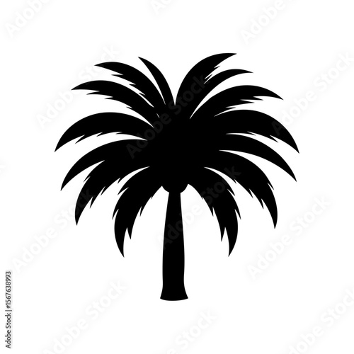 Black Silhouette Of A Single Palm Frond For A Tropical And Minimalist