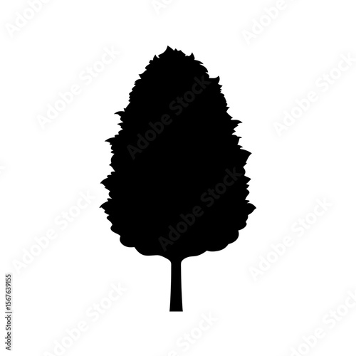 A Tall Thin Poplar Tree Silhouette For A Graceful And Elegant Vector