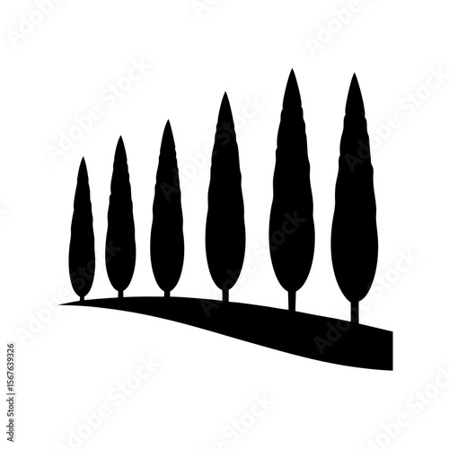 A Row Of Cypress Trees Silhouette For A Simple And Elegant Landscape