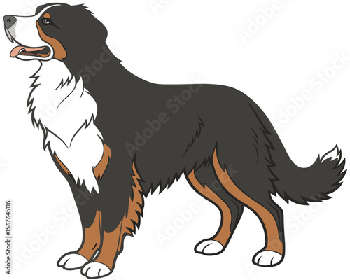 Majestic Bernese Mountain Dog High-Quality Vector Illustration