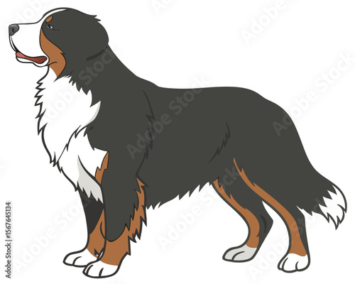 Majestic Bernese Mountain Dog Vector Illustration