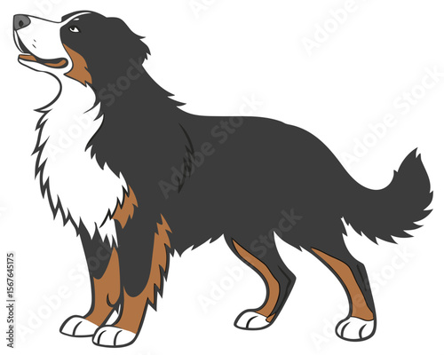 High-Quality Vector Illustration of a Bernese Mountain Dog