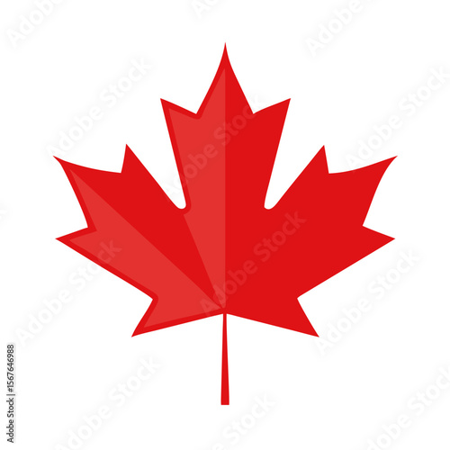 canadian maple leaf Maple leaves isolated vector on white background.
