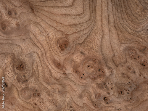 Elm burl veneer with swirling grain patterns and deep, rich textures