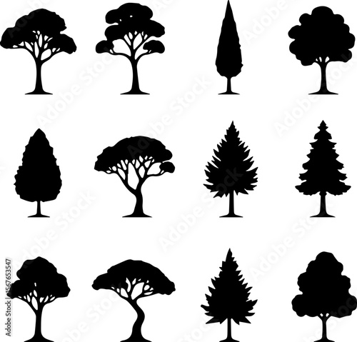 Tree Silhouettes Set 12 Forest Tree Vector Icons