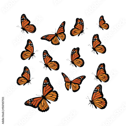 Monarch Butterfly Vector Set – Realistic Orange and Black Flying Insects Illustration