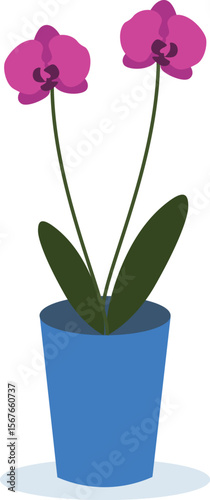Orchid plant in blue pot minimalist vector design. 
