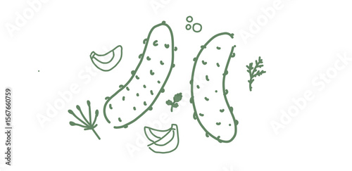 Hand-drawn pickles and herbs in green on white background