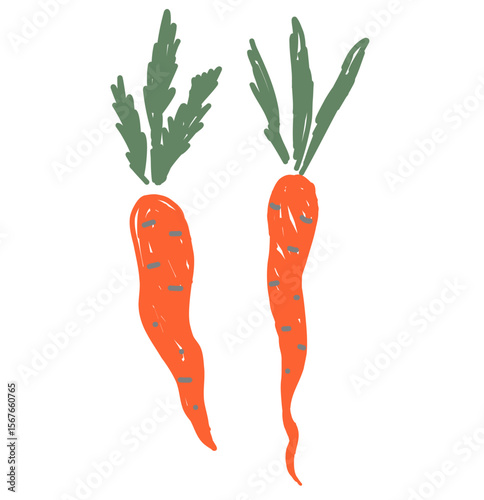 Hand-drawn carrots with green leaves on white background