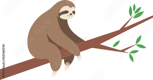 Cute Sloth Hanging on a Tree Branch Illustration. 