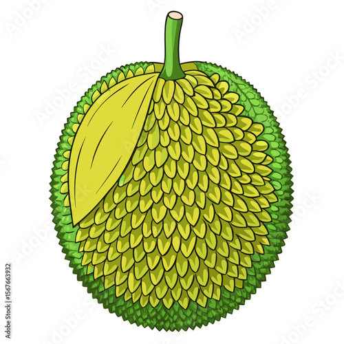 Fresh Jackfruit Vector – Tropical Exotic Fruit Isolated on White (Meaty Texture, Vegan Superfood)