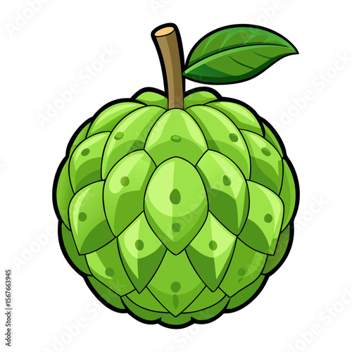Fresh Cherimoya (Custard Apple) Vector – Tropical Exotic Fruit with Scale Texture Isolated on White