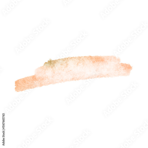 sausage isolated on white background