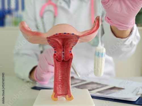 Overview of human reproductive health education using a model and menstrual