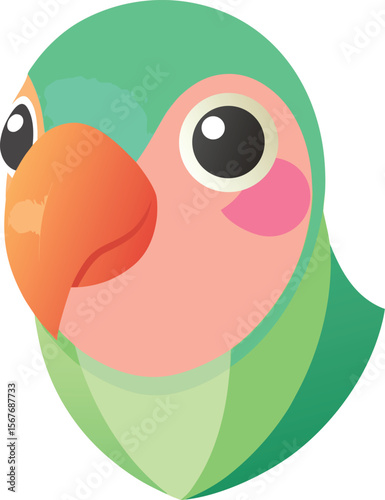  Lovebird Face Vector Cartoon