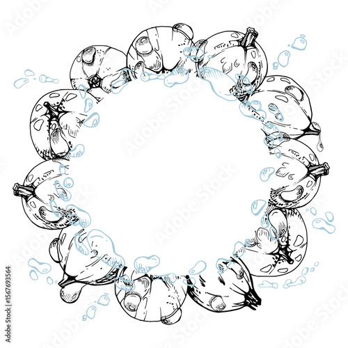 Currant gooseberry closeup in water splash with dew drops, ripe garden berry juneberry casseille jostaberry hand drawn in vector ink. Isolated wreath frame. Organic food drink, fresh grocery store