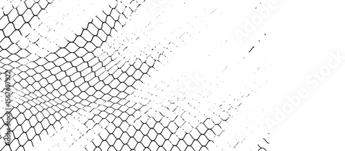 Black snake skin pattern isolated on white background eps 10