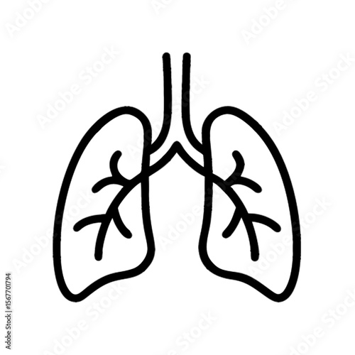Vector illustration of a human lungs icon with two lobes and windpipe (trachea), outline style - respiratory health, breathing, and medical wellness concept 