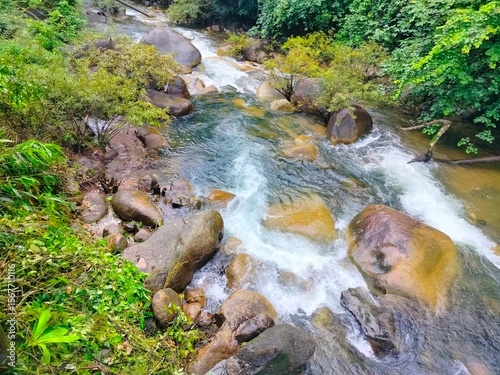 waterfall in the forest