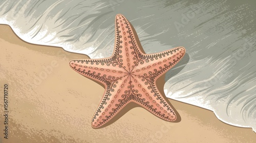 Starfish on a tropical beach
