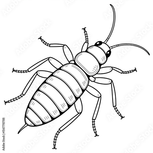 Illustration vector of a earwig coloring page