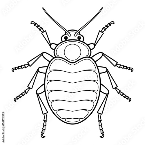 Bedbug line drawing coloring page
