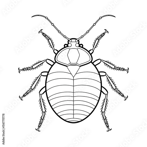 Bedbug line drawing coloring mandala