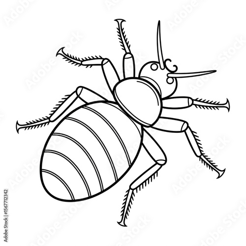 Bedbug line art coloring page design