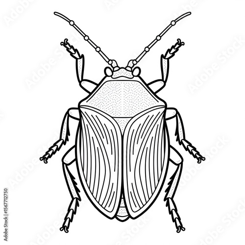 black and white bug outline clip art preview