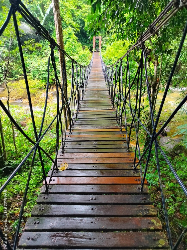 Fototapeta premium wooden bridge in the forest