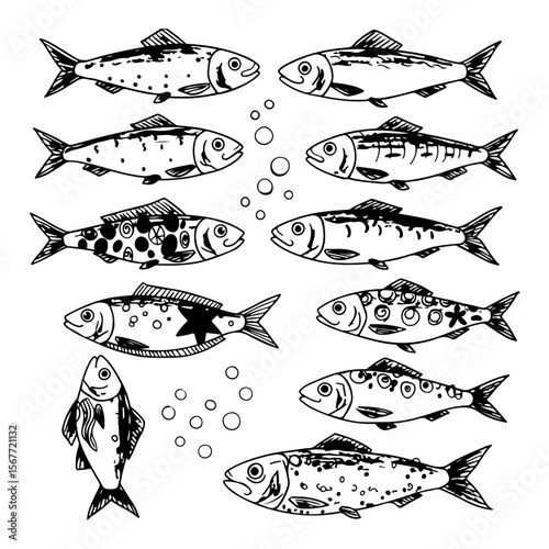 Sardine Fish Silhouette Pack – Printable and Editable Vector Art