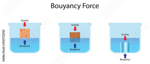 Illustration of buoyancy force and gravity acting on different materials: sponge, wood, and metal, showing how objects float, sink, or partially submerge in water