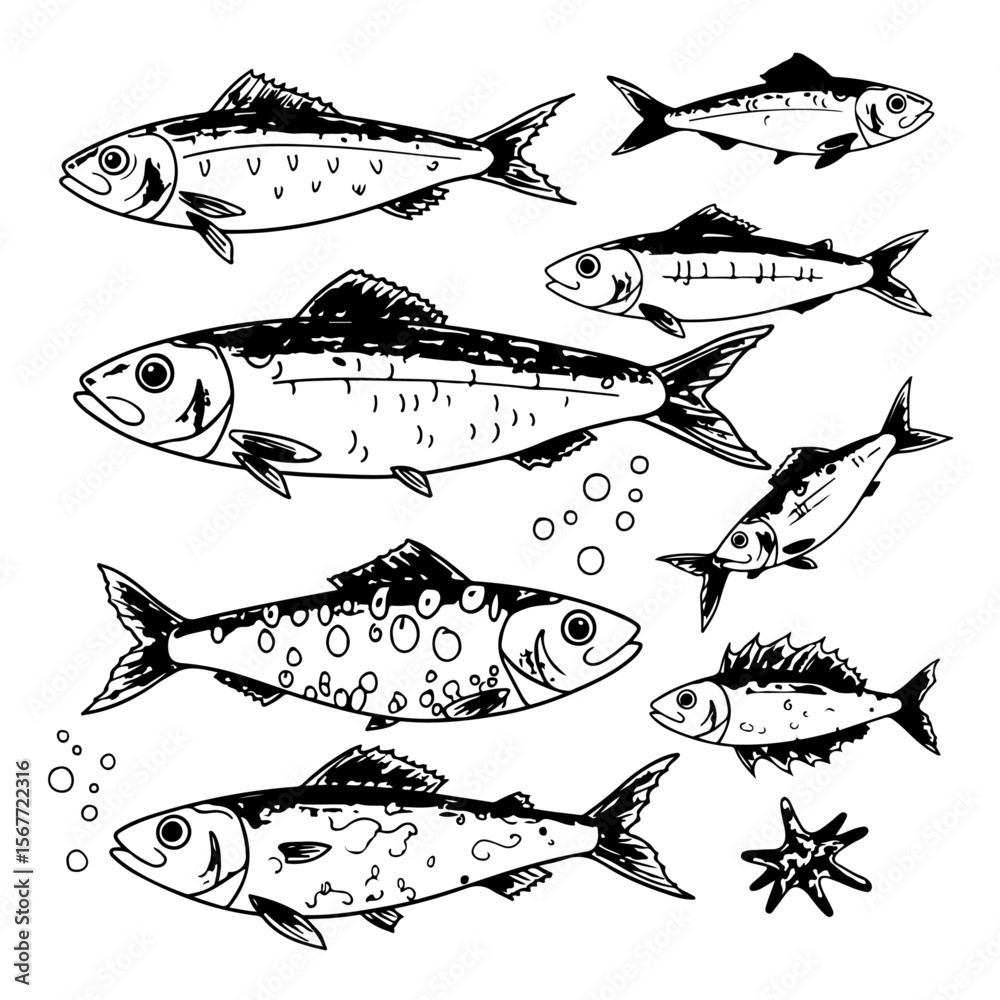 Fototapeta premium Sardine Fish Silhouette Pack – Printable and Editable Vector Art