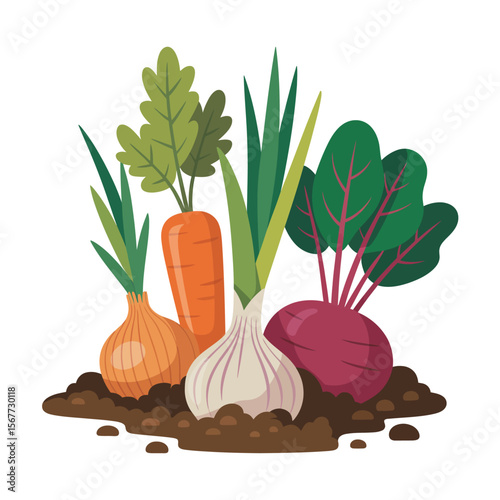 Fresh Garden Vegetables Harvest Carrots, Onions, Garlic, Beetroot