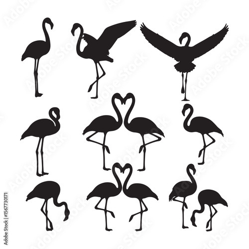 Black silhouettes of flamingos in various poses bird animal