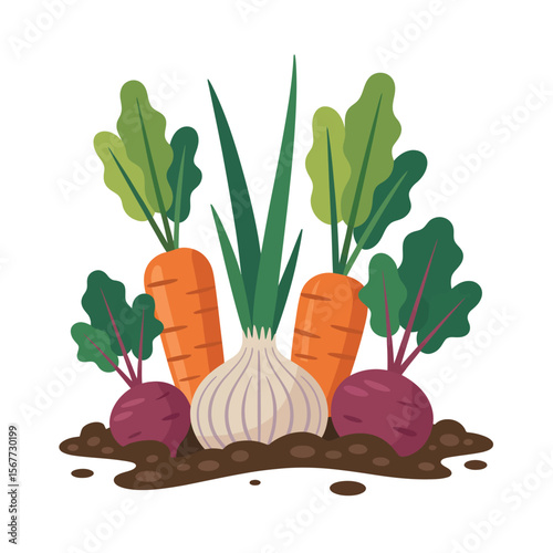 Freshly Harvested Carrots, Beets, and Onion from the Garden